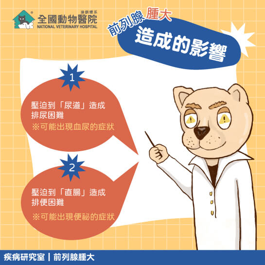 這是一張圖