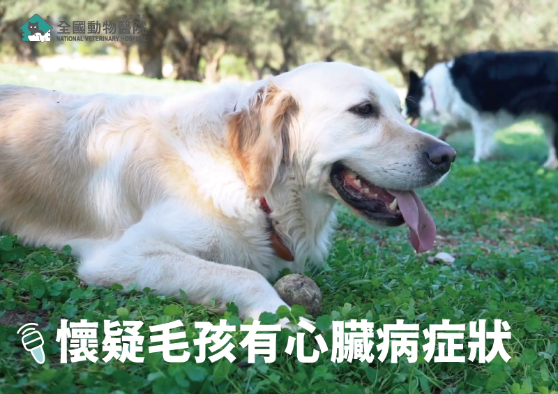 這是一張圖