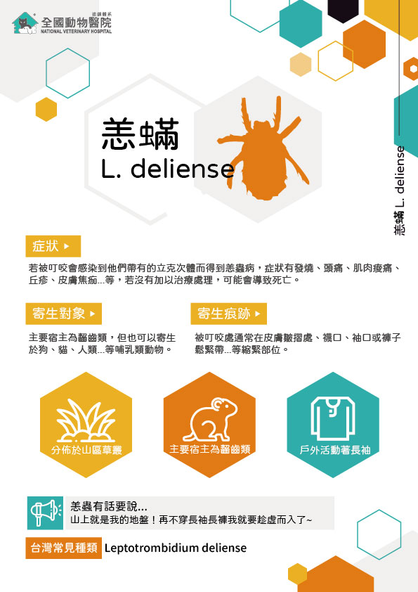 這是一張圖