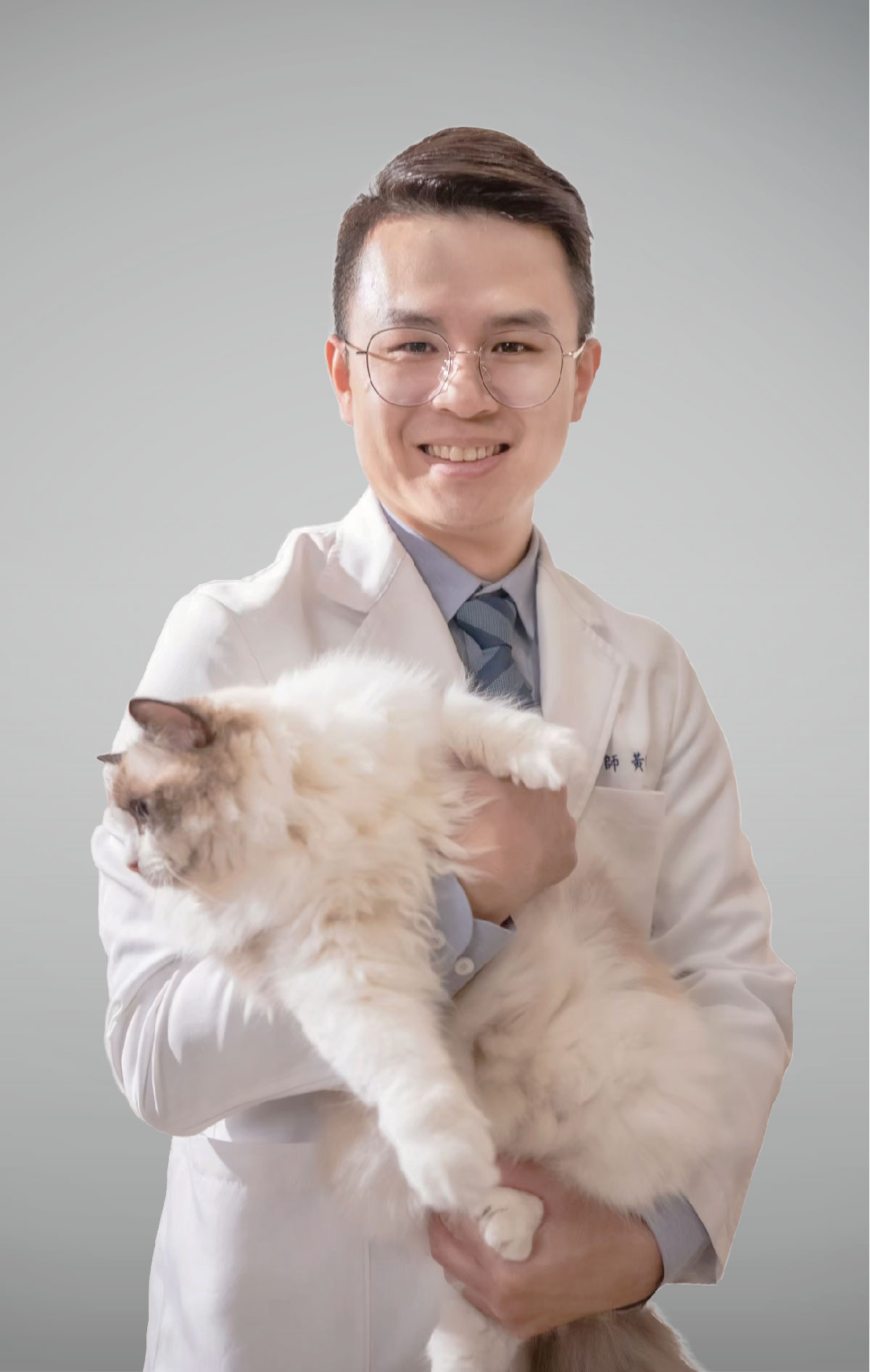 這是一張圖