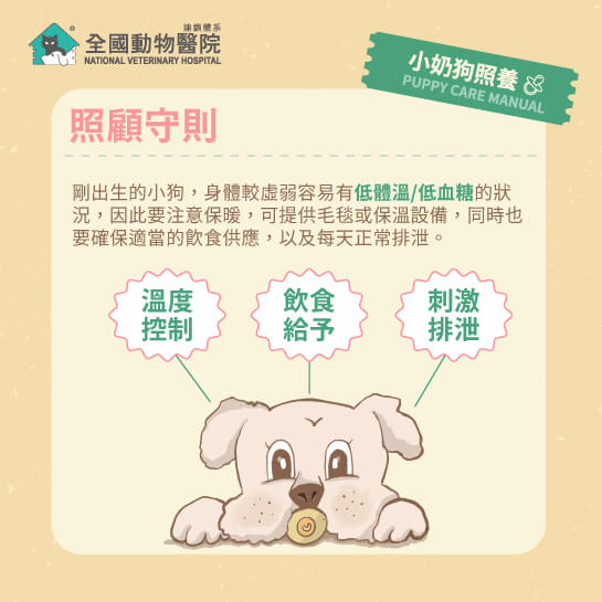 這是一張圖