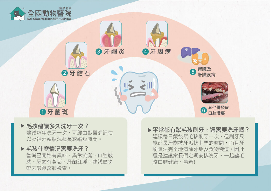 這是一張圖