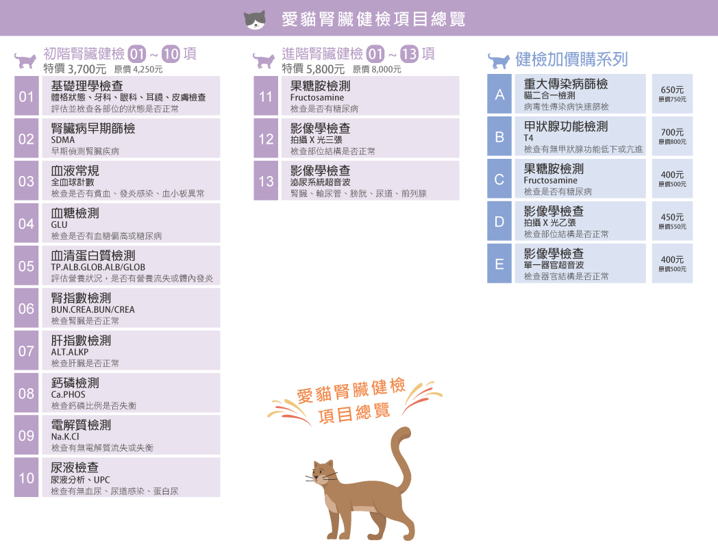 這是一張圖