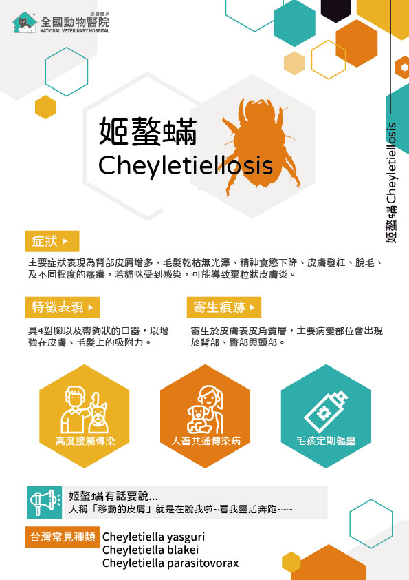 這是一張圖