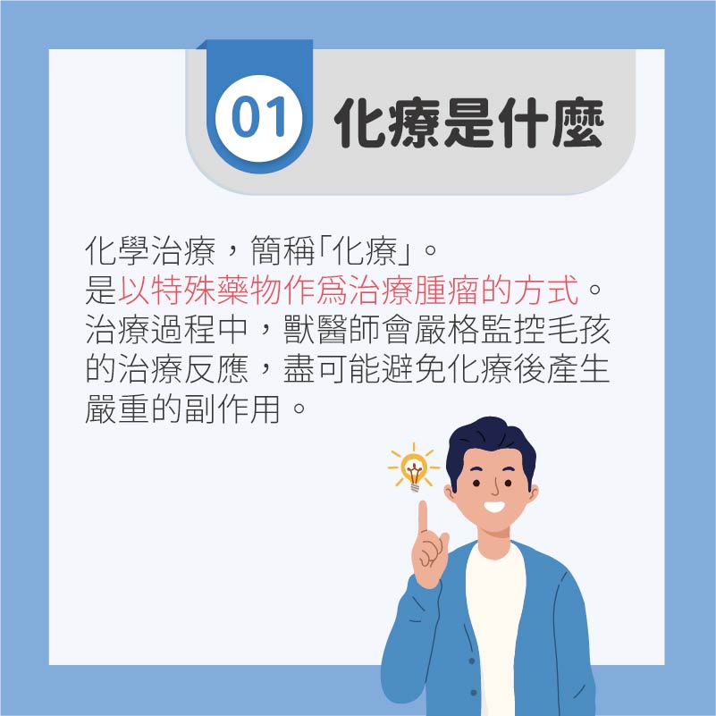 這是一張圖