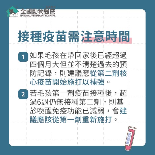 這是一張圖