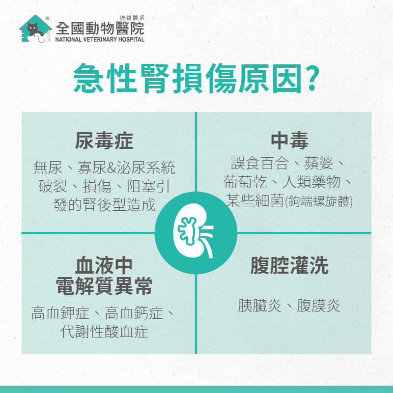 這是一張圖
