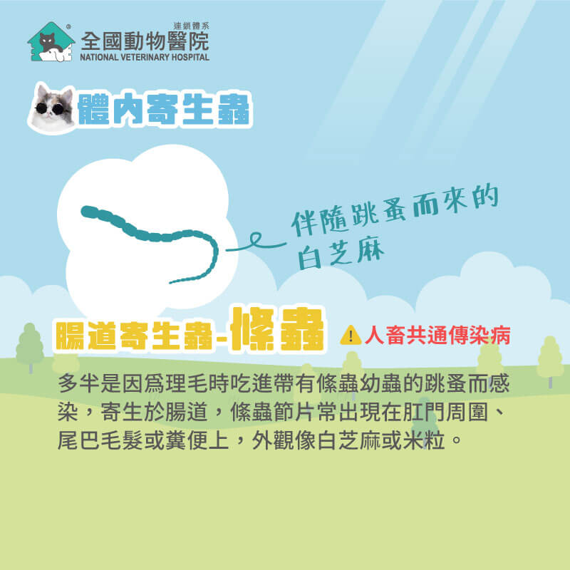 這是一張圖