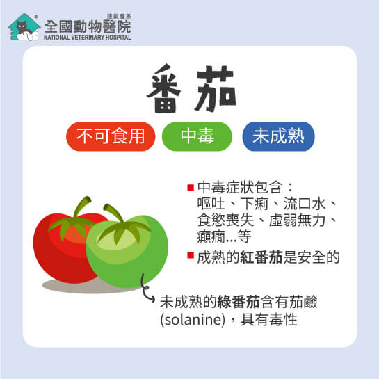 這是一張圖
