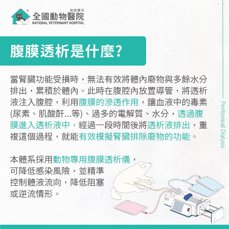 這是一張圖