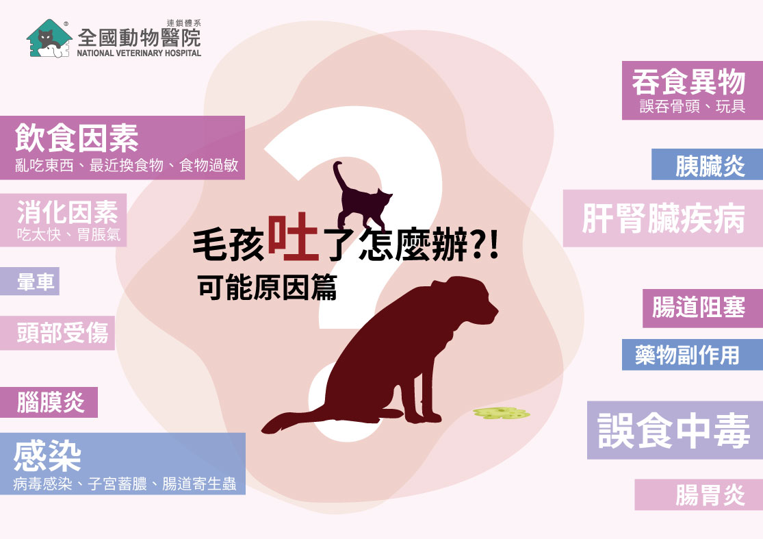 這是一張圖