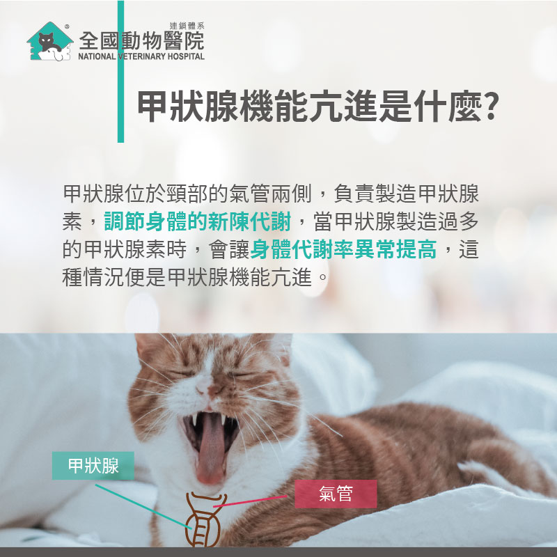 這是一張圖