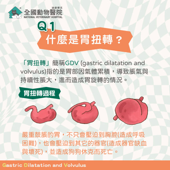 這是一張圖