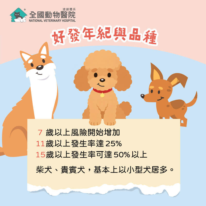 這是一張圖