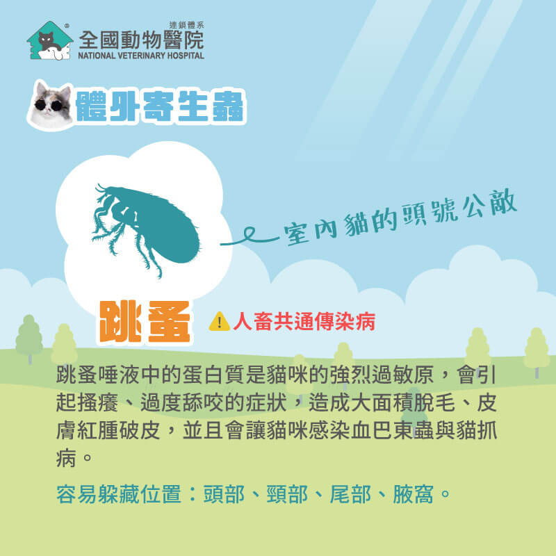 這是一張圖