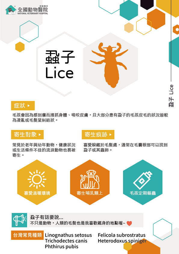 這是一張圖