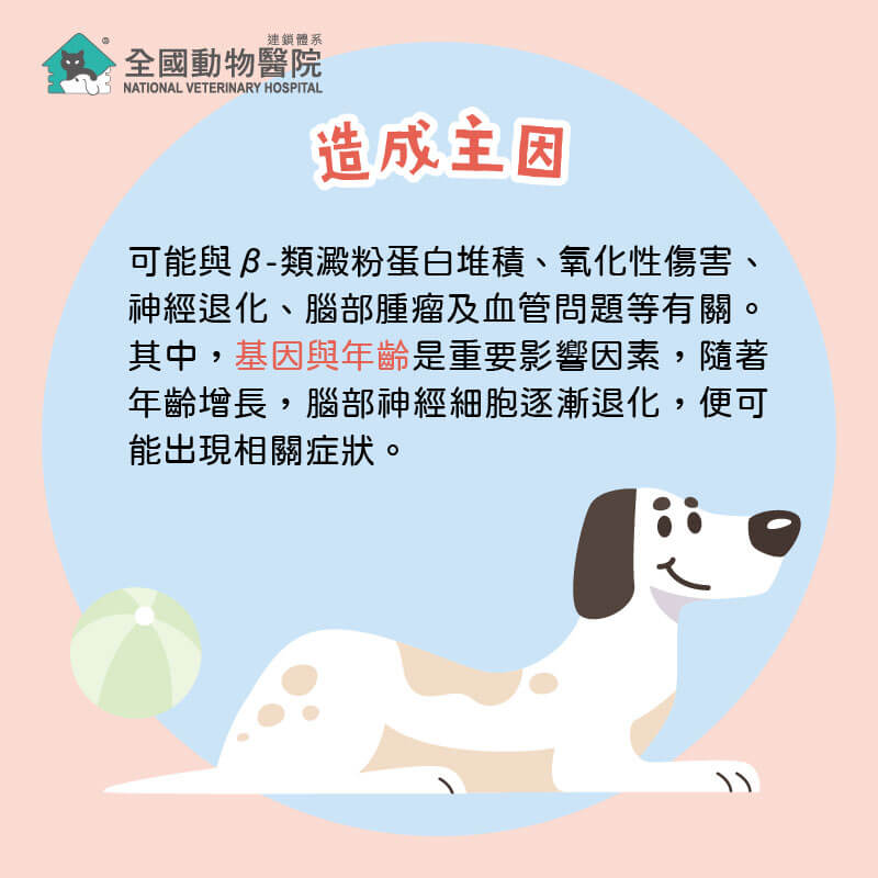 這是一張圖