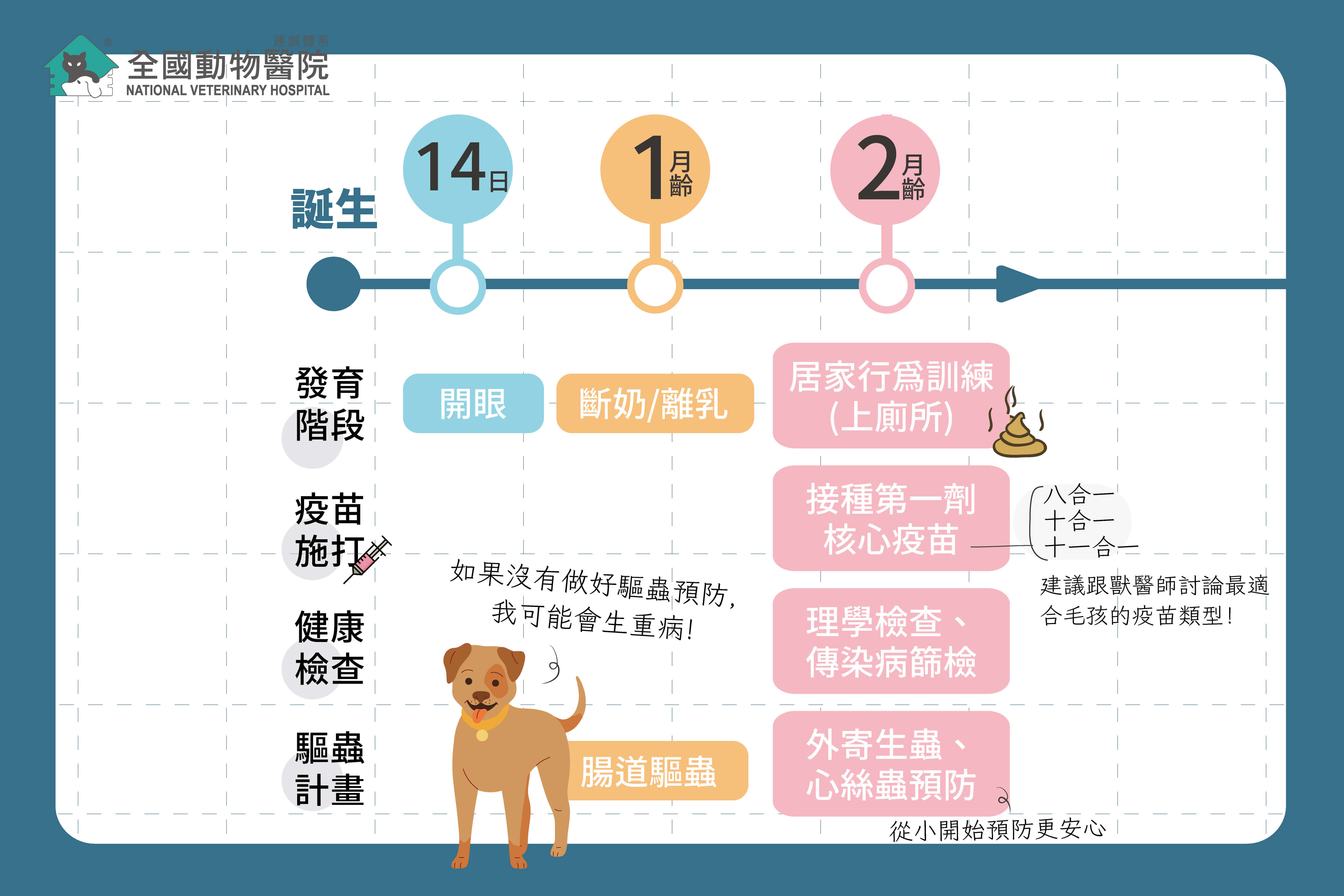 這是一張圖