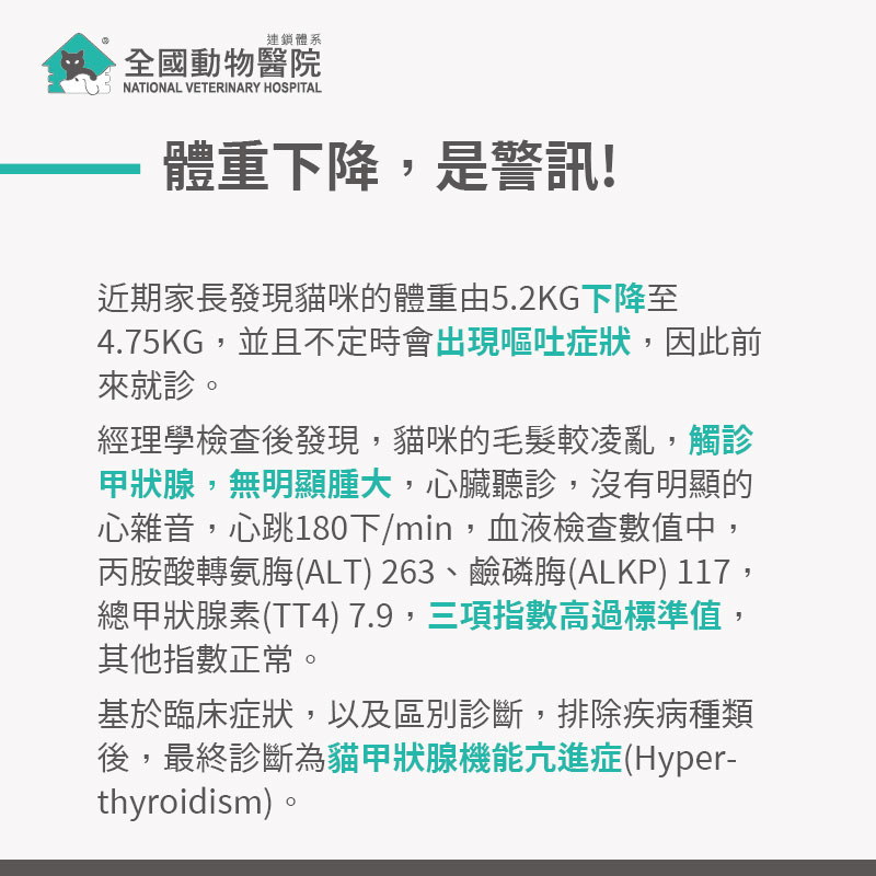 這是一張圖