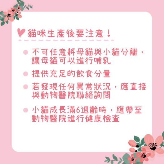 這是一張圖