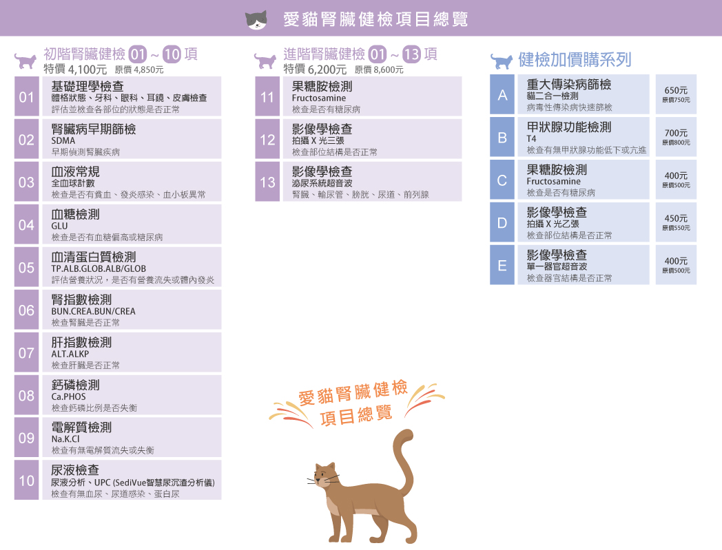 這是一張圖