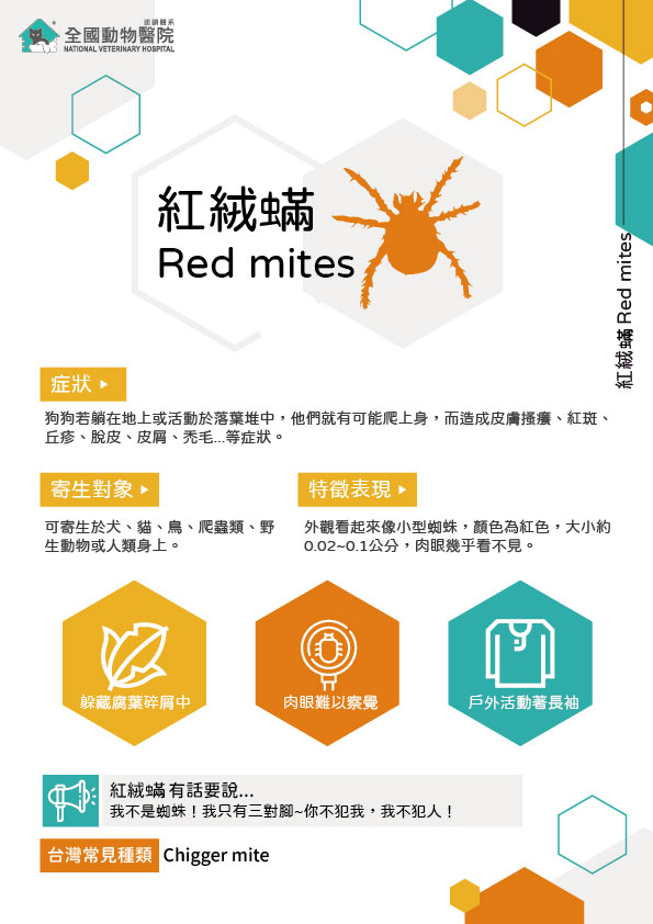 這是一張圖