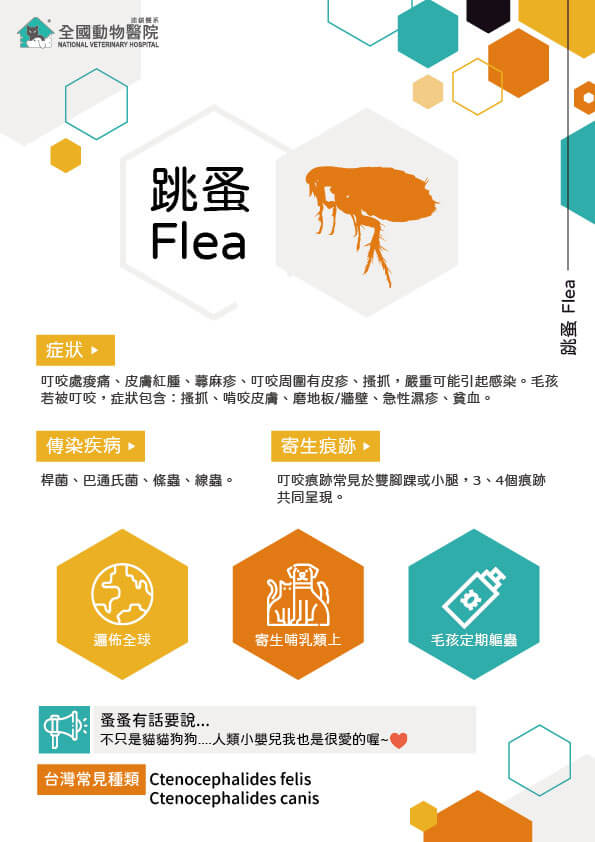 這是一張圖