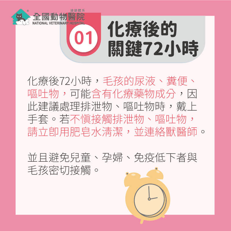 這是一張圖