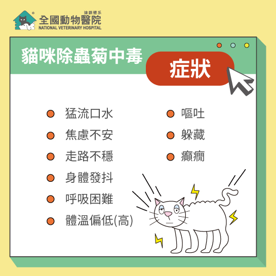 這是一張圖