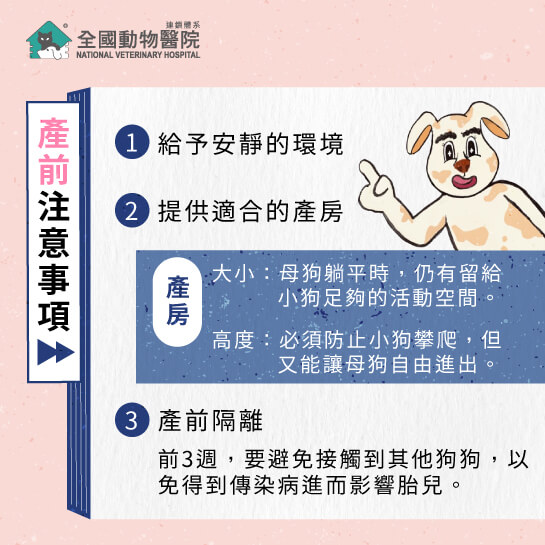 這是一張圖
