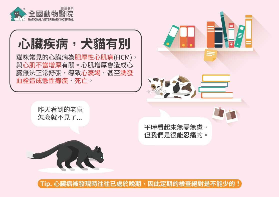 這是一張圖