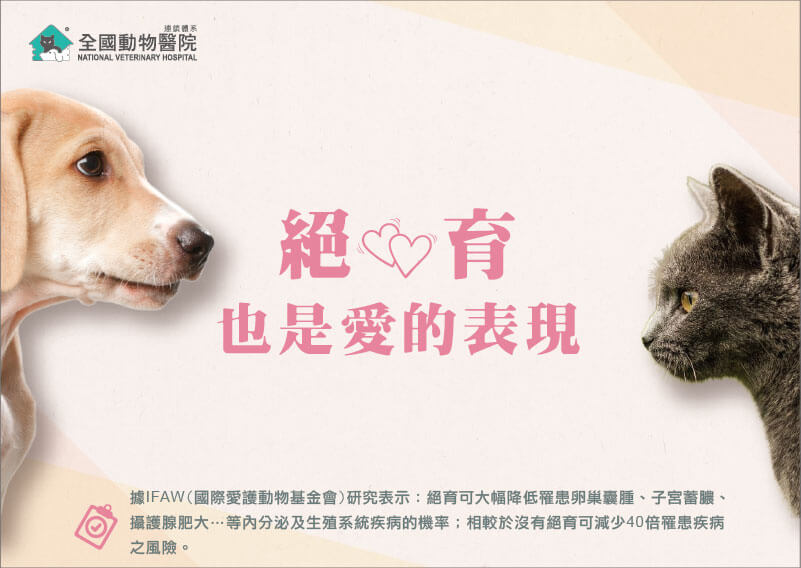 這是一張圖