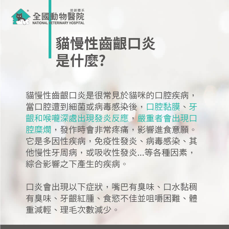 這是一張圖