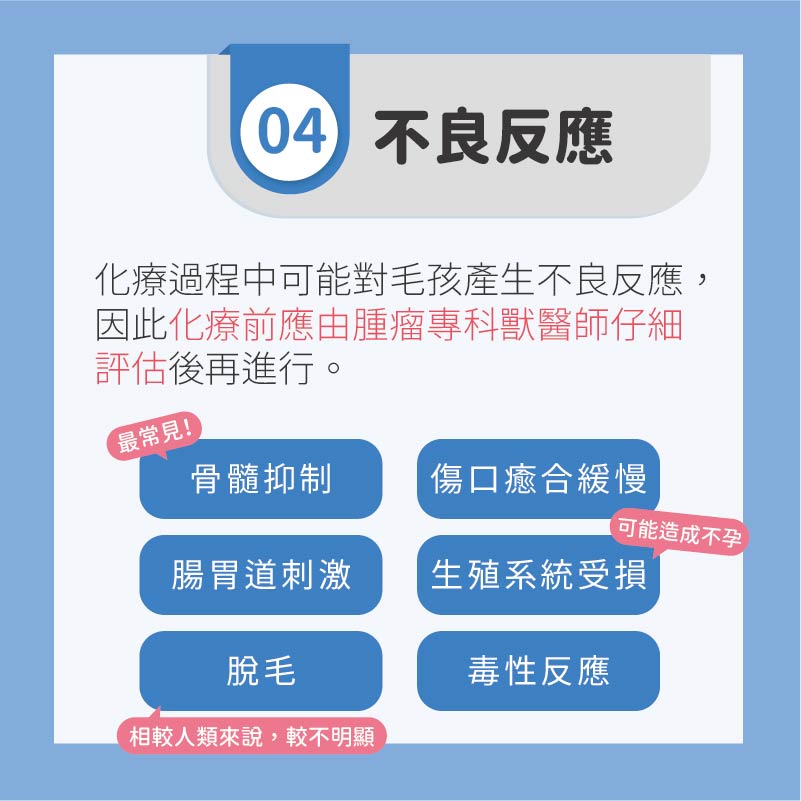 這是一張圖
