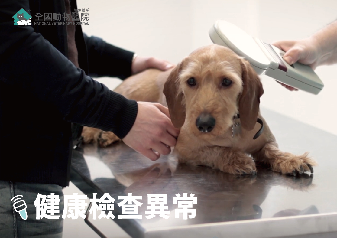 這是一張圖