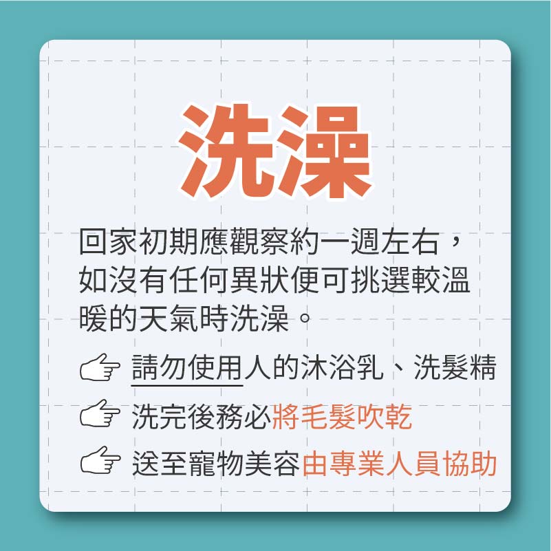 這是一張圖