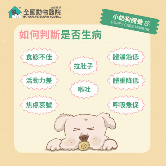 這是一張圖
