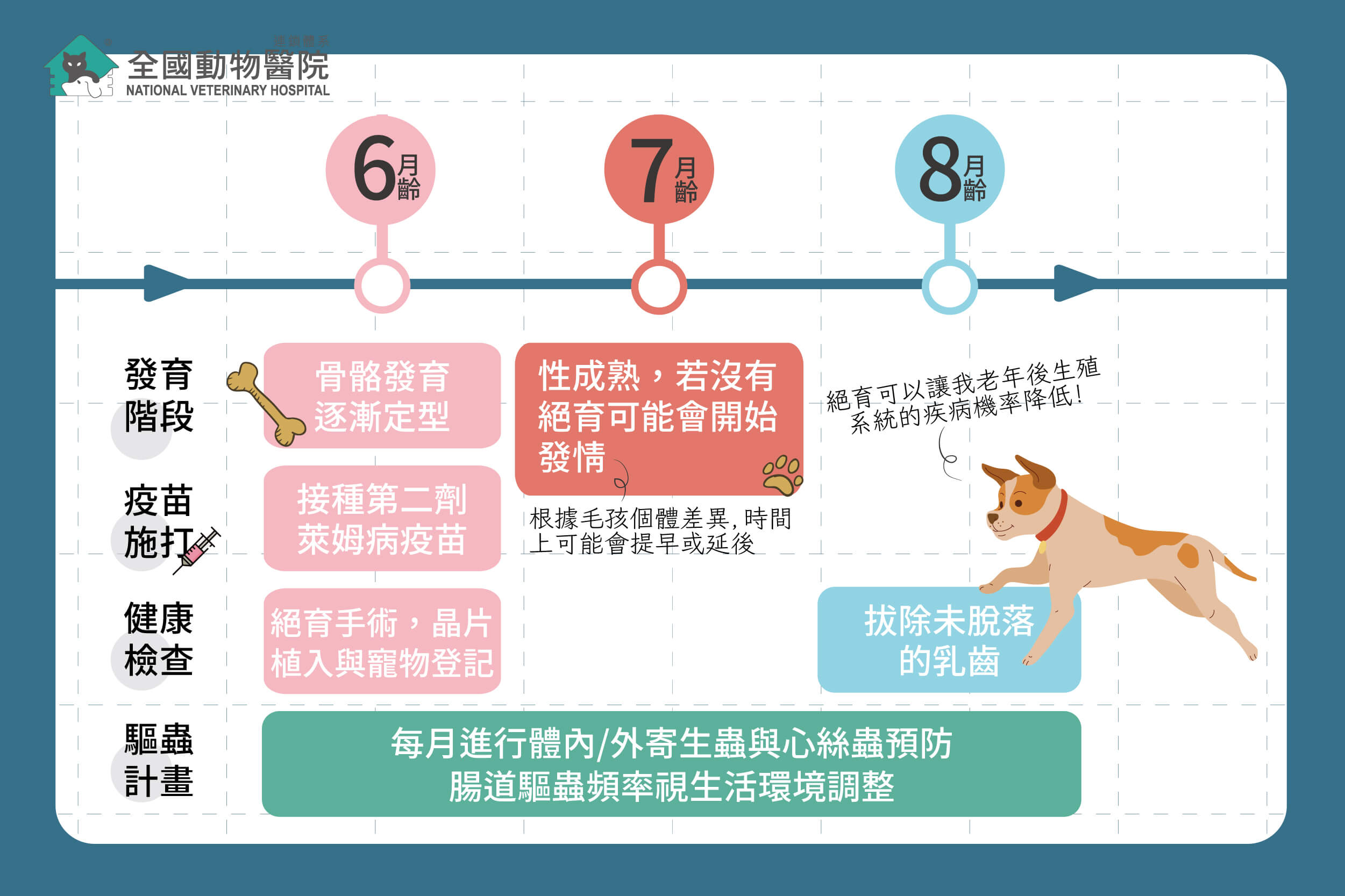 這是一張圖