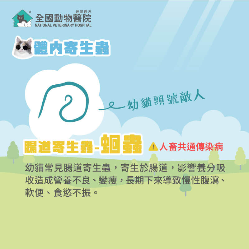 這是一張圖