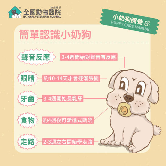 這是一張圖