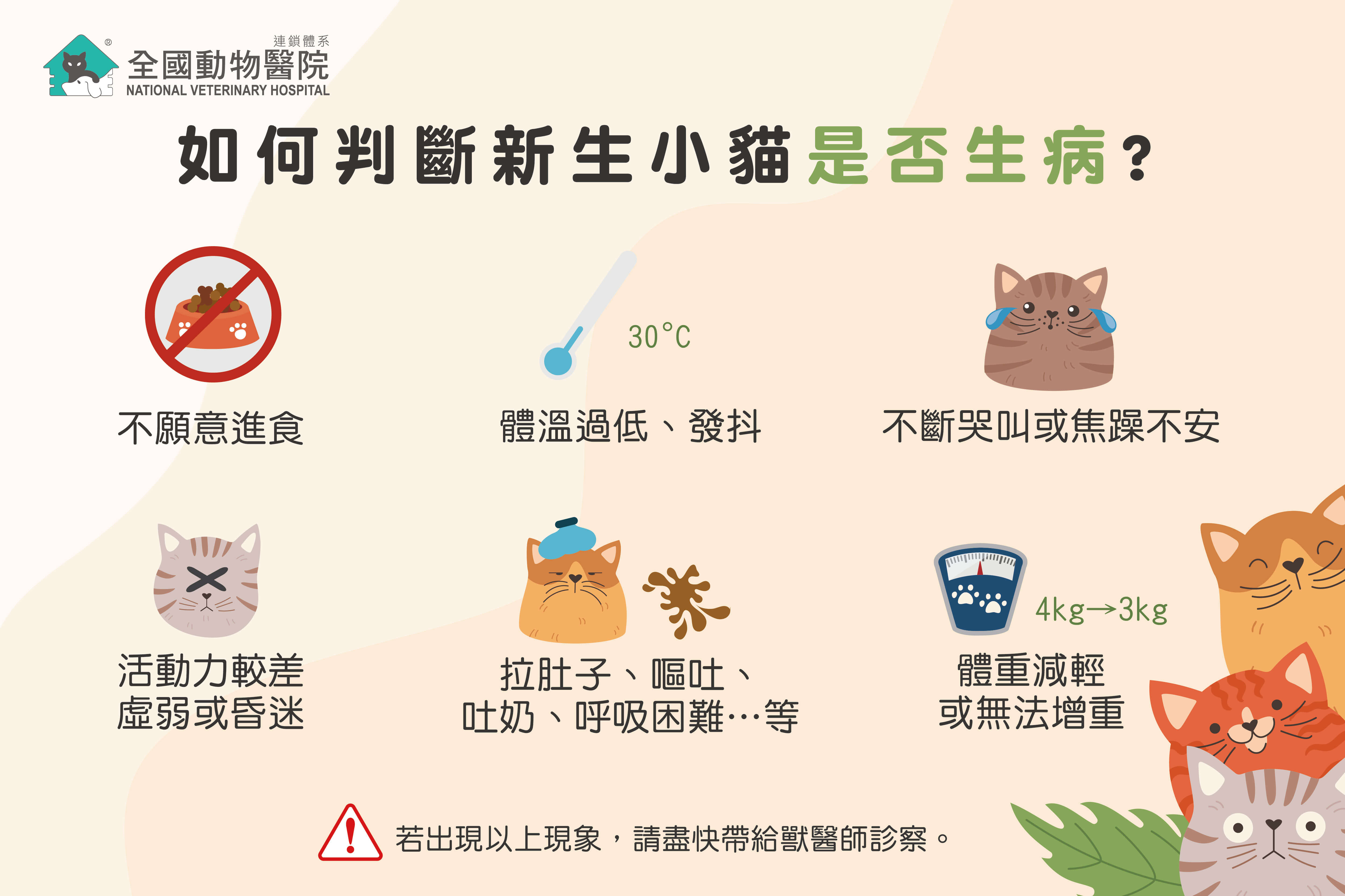 這是一張圖