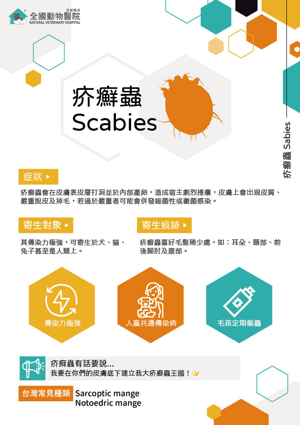 這是一張圖