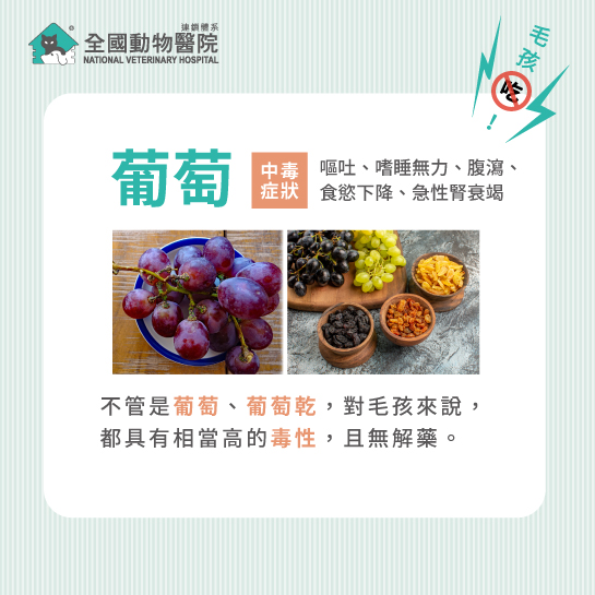 這是一張圖