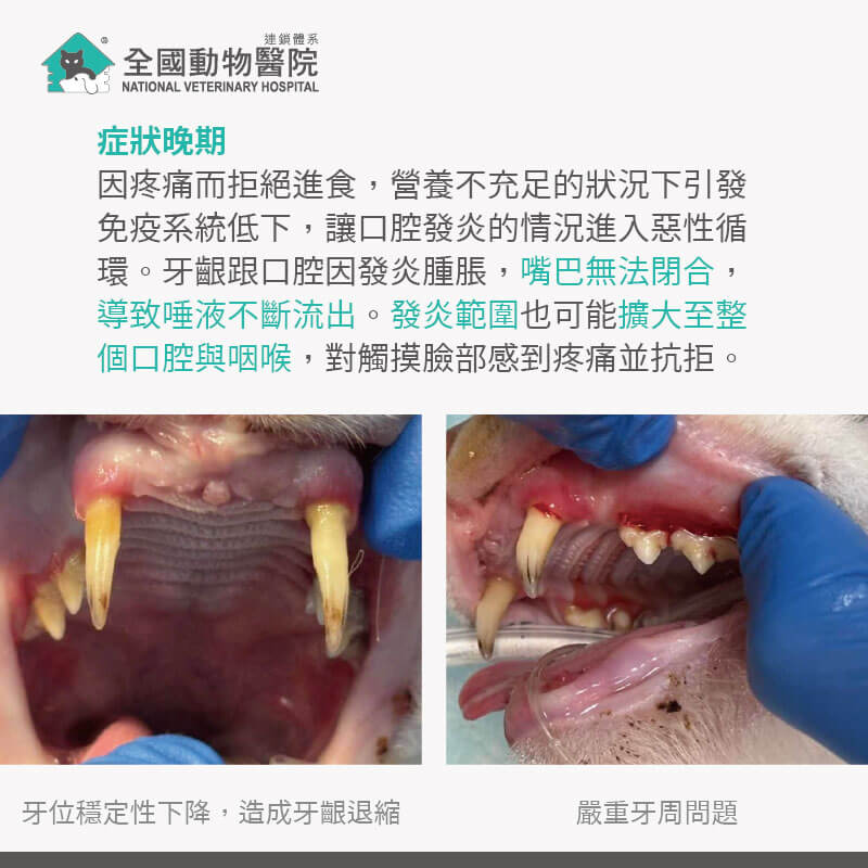 這是一張圖