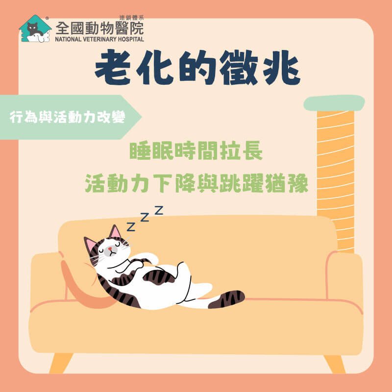 這是一張圖