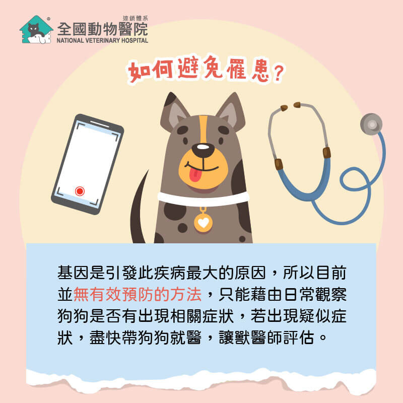 這是一張圖