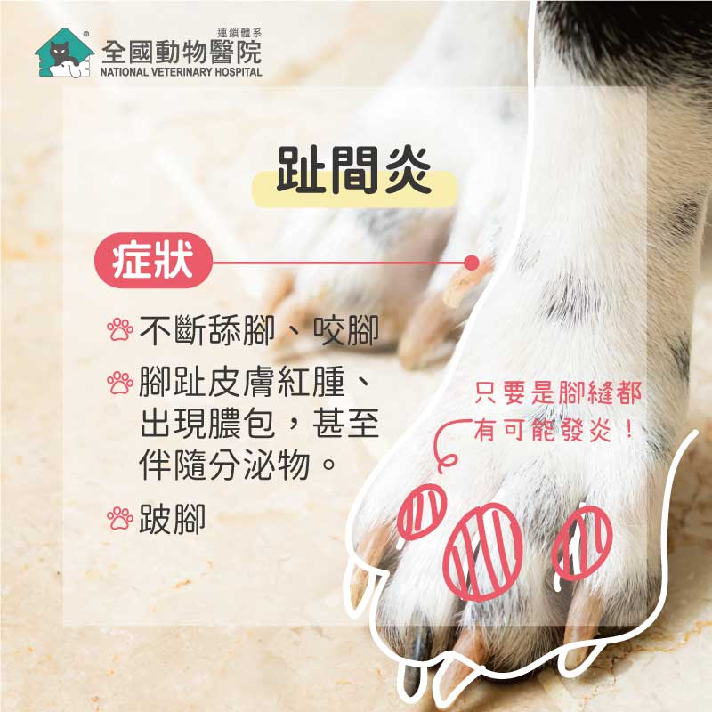 這是一張圖