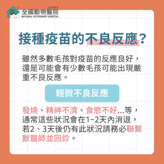 這是一張圖