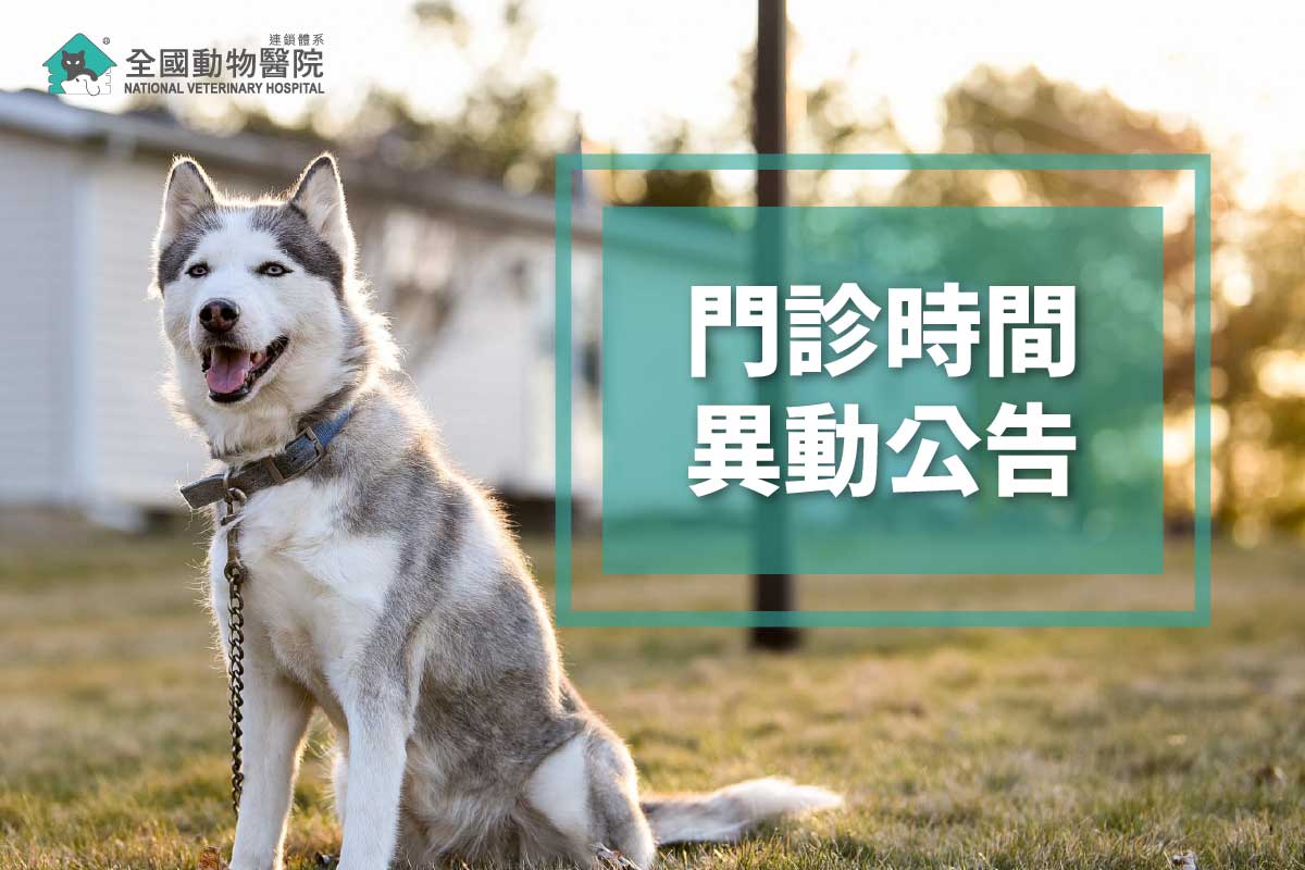 這是一張圖