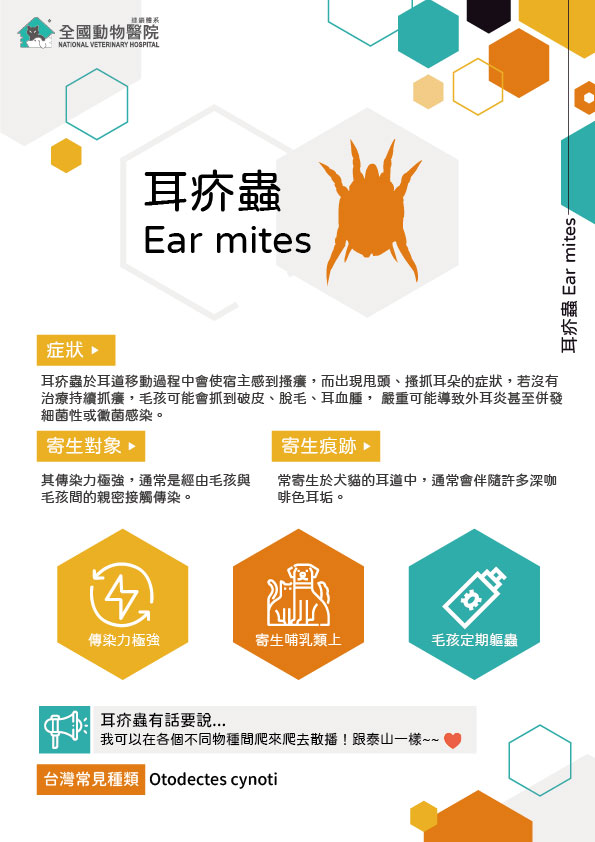 這是一張圖